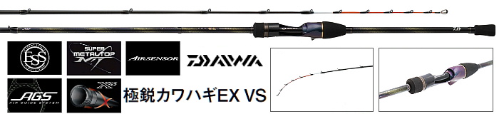 DAIWA ɉsJnM EX VS